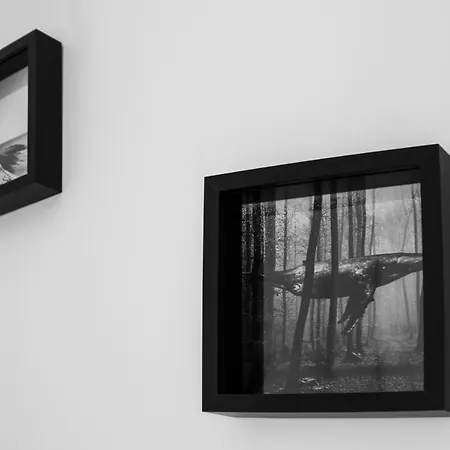 Bed and breakfast Aurora Luxury Nápoles